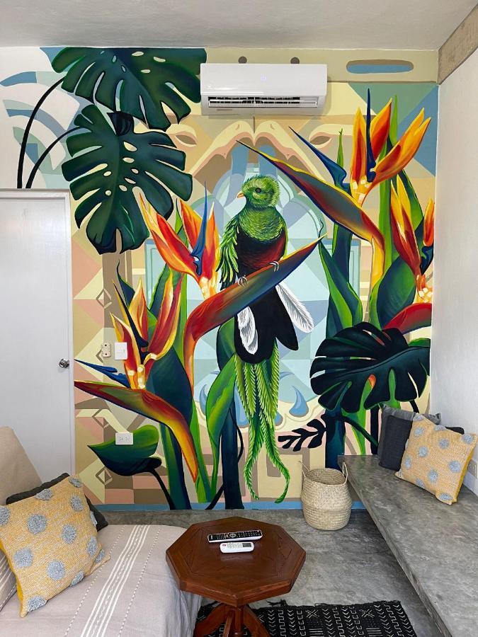 Katalox Jungle Lofts By Simply Comfort Tulum Centre Rooftop Patio & Pool Leilighet Eksteriør bilde